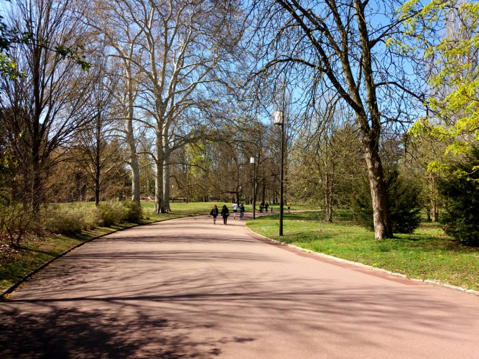Lyon 6e - Parc de la Tête d'Or, allée des Ormeaux, côté sud-ouest