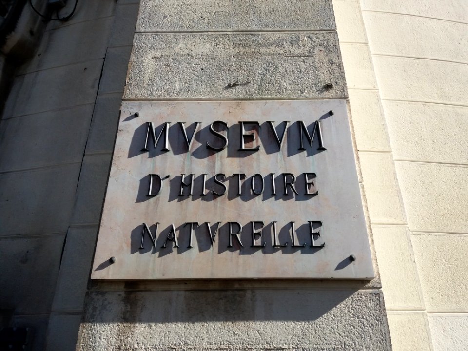 Lyon 6e - Musée Guimet, plaque