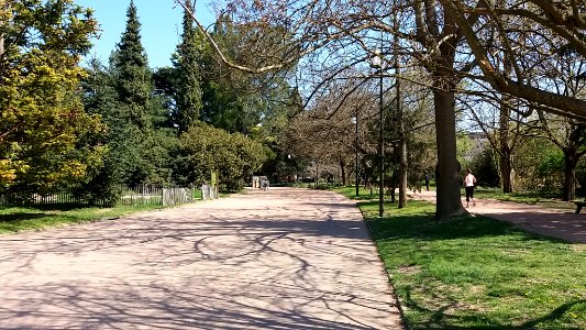 Lyon 6e - Parc de la Tête d'Or, allée de Ceinture, depuis les serres tropicales en allant vers l'allée du Chemin de Fer