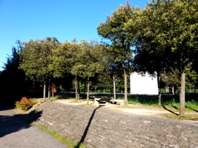 Lyon 6e - Jardin de la Cité, vue d'ensemble