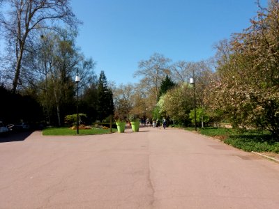 Lyon 6e - Parc de la Tête d'Or, allée des Ébats, côté ouest