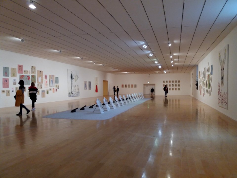 Lyon 6e - Musée d'art contemporain - Exposition Edi Dubien 02
