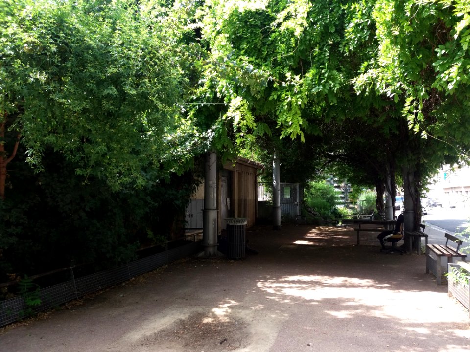 Lyon 6e - Jardin aquatique rue Félix Jacquier, depuis la rue Montgolfier
