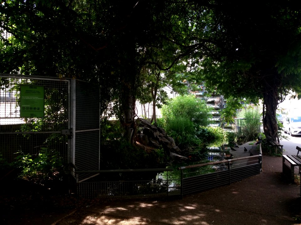 Lyon 6e - Jardin aquatique rue Félix Jacquier, vue sur la mare
