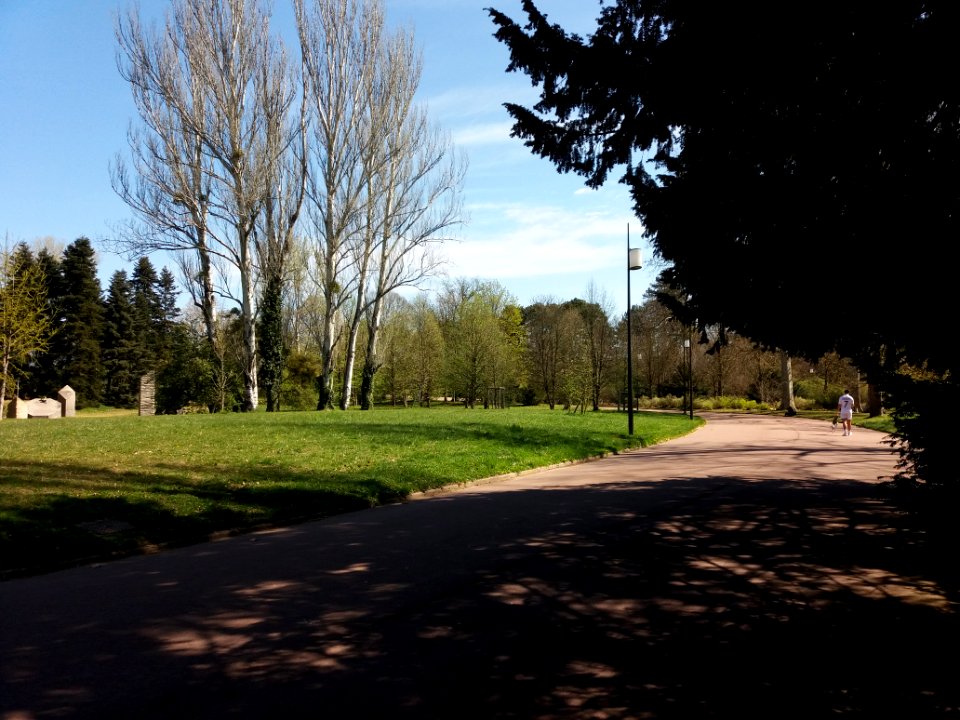 Lyon 6e - Parc de la Tête d'Or, allée des Ormeaux, côté nord-est