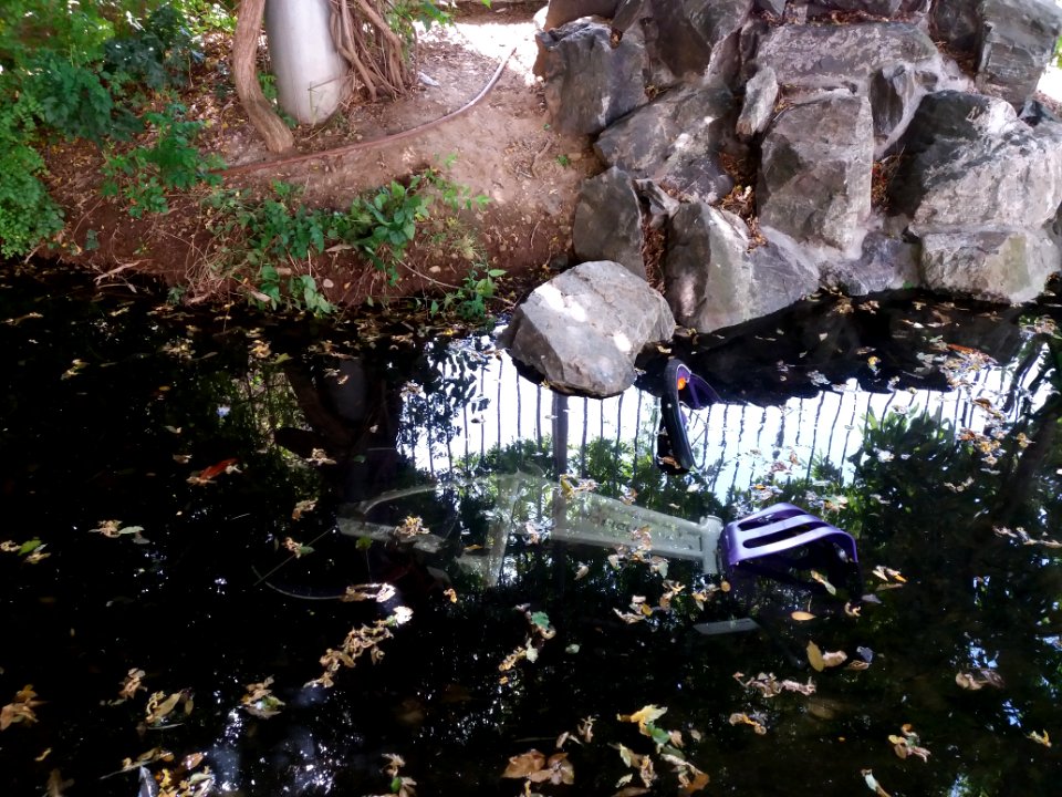 Lyon 6e - Jardin aquatique rue Félix Jacquier, vélo Indigo
