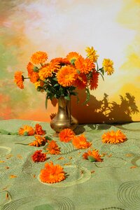 Colorful vase orange photo