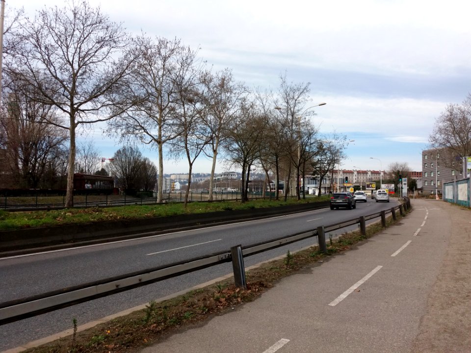 Lyon 7e - Boulevard Chambaud de la Bruyère, en direction de l'avenue Tony Garnier