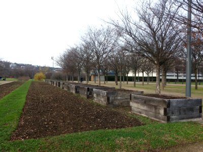 Lyon 7e - Parc de Gerland - Parcelle avec bacs
