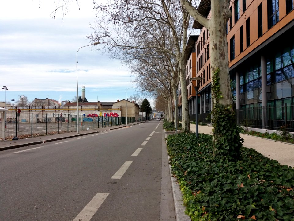Lyon 7e - Boulevard Jules Carteret, en direction de l'avenue Tony Garnier