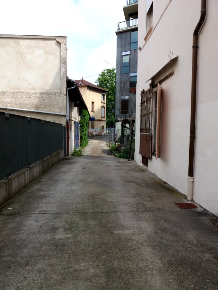 Lyon 7e - Rue Clément Marot, allée du numéro 44, depuis le fond