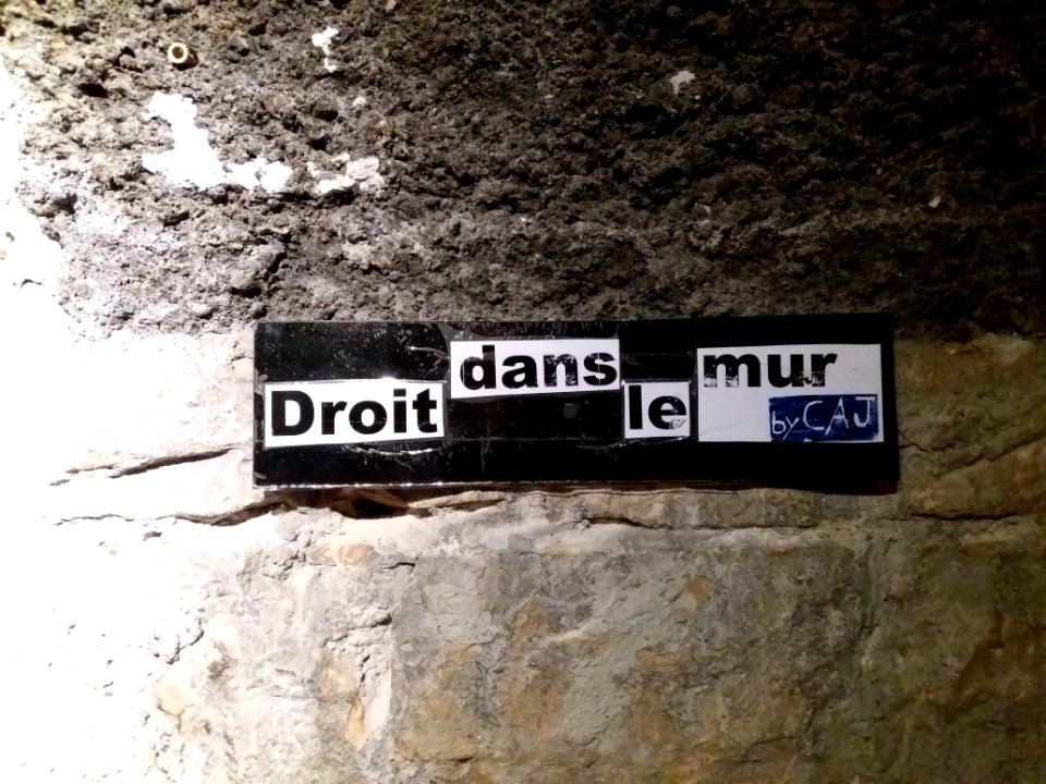 Lyon 7e - Centre d'Histoire de la Résistance et de la Déportation - La chute des murs, cartel de l'œuvre Droit dans le mur