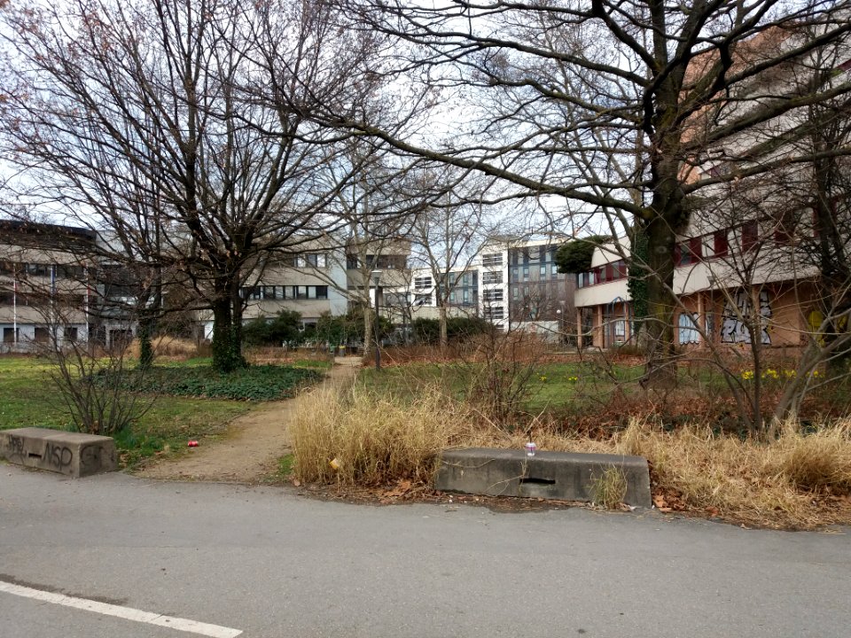 Lyon 7e - Place Jonas Salk, depuis l'avenue Tony Garnier