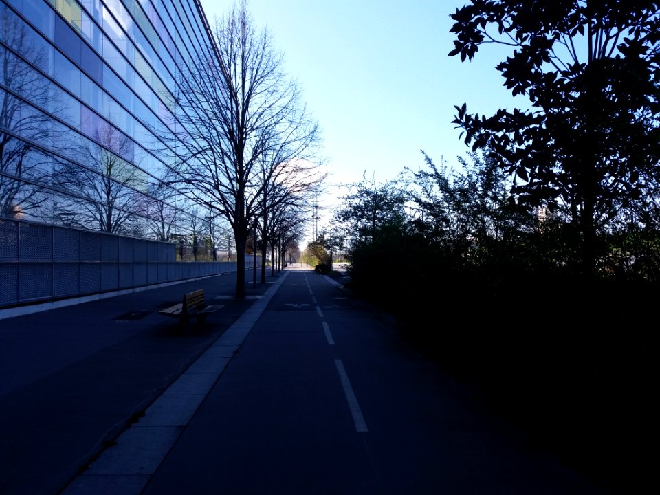 Lyon 7e - Boulevard Chambaud de la Bruyère, côté sud, vers la rue Professeur Jean Bernard