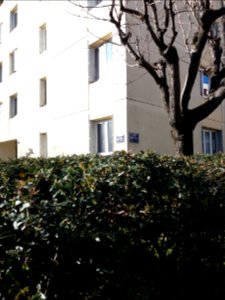 Lyon 7e - Plaques des rues Mathieu Varille et Marcel Mérieux
