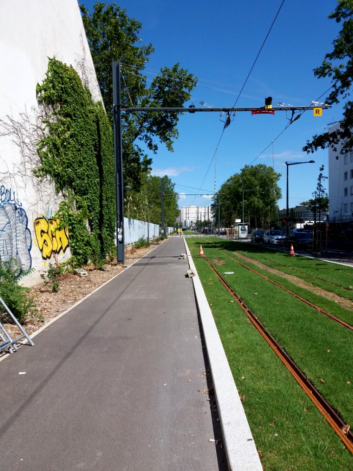 Lyon 7e - Rue Challemel-Lacour, vers l'est, pylône électrique du tramway T6