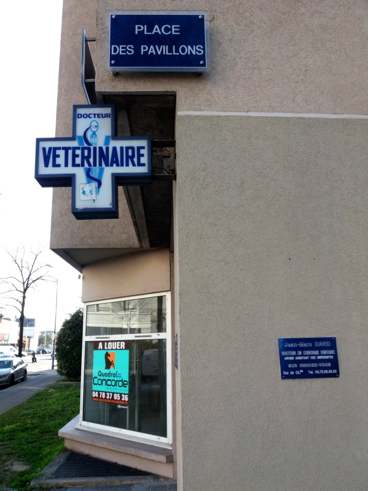 Lyon 7e - Place des Pavillons, plaque à l'angle de la rue Marcel Mérieux