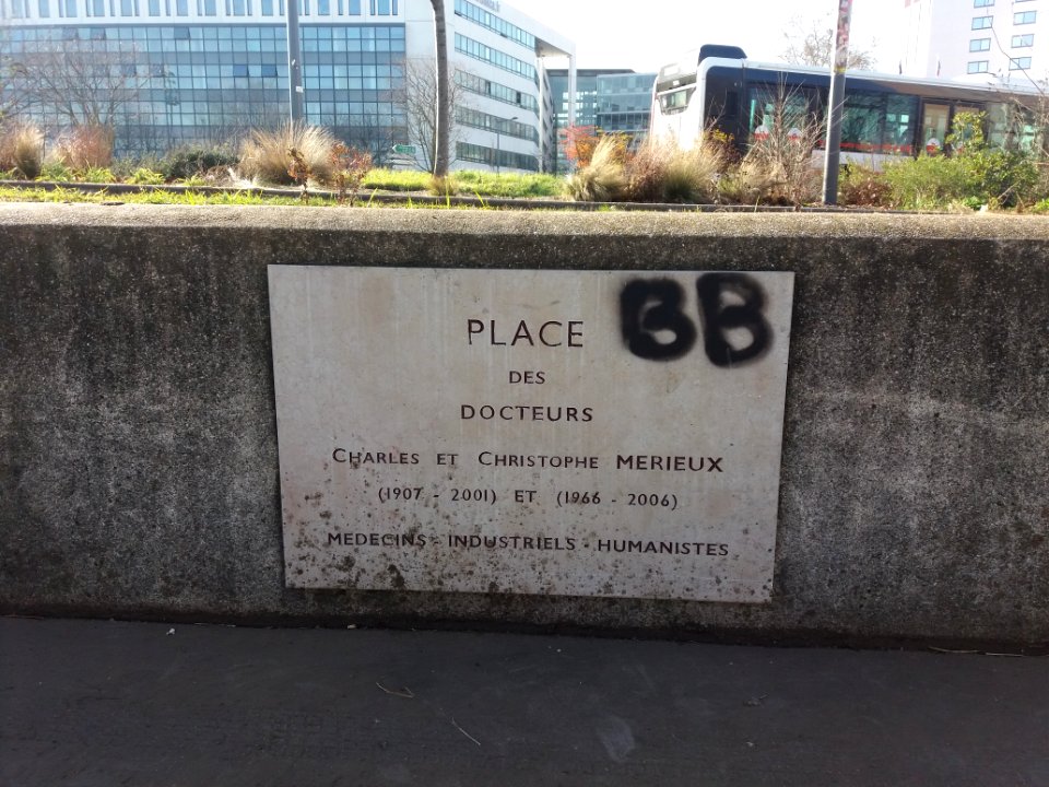 Lyon 7e - Place des Docteurs Charles et Christophe Mérieux, plaque