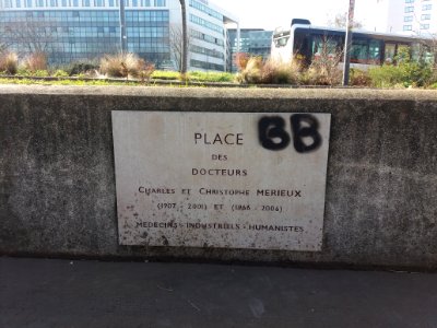 Lyon 7e - Place des Docteurs Charles et Christophe Mérieux, plaque
