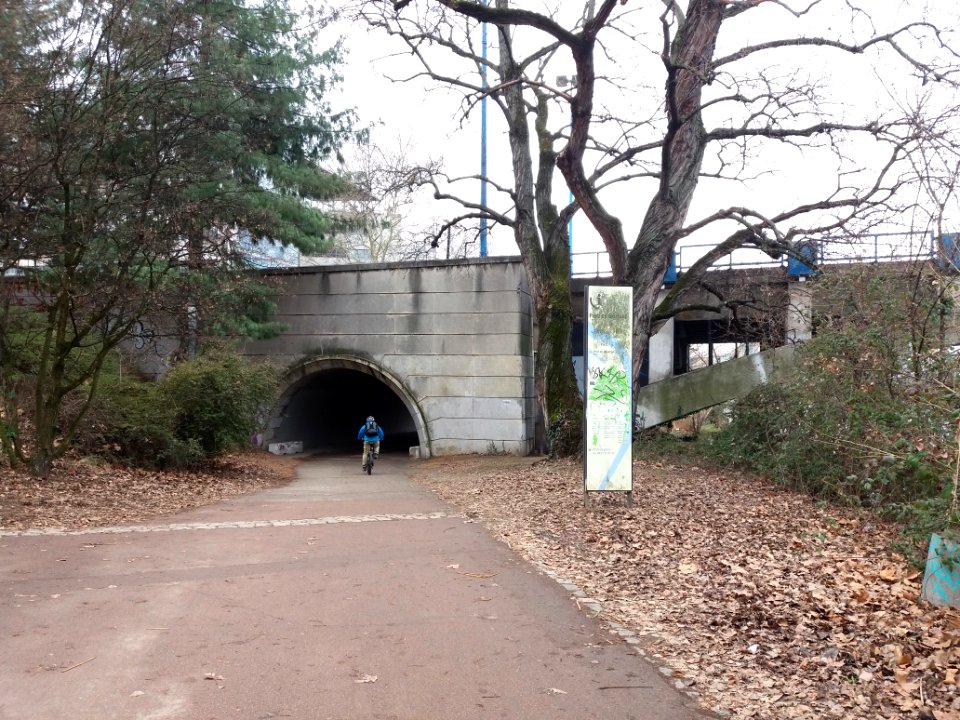 Lyon 7e - Quai du Canada, direction sud en passant sous le pont Pasteur