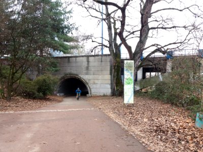 Lyon 7e - Quai du Canada, direction sud en passant sous le pont Pasteur