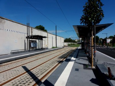 Lyon 7e - Rue Challemel-Lacour, vers l'est, arrêt du tramway T6 - Challemel-Lacour Artillerie