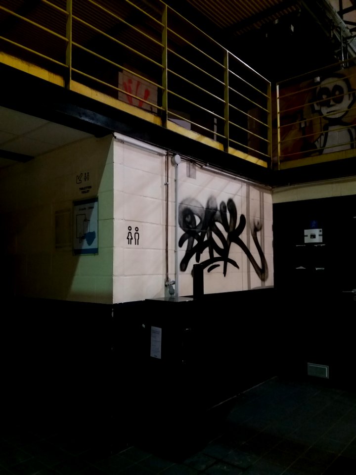 Lyon 7e - Rue Challemel-Lacour - Anciennes usines Fagor-Brandt - Biennale d'art contemporain 2019 (20)