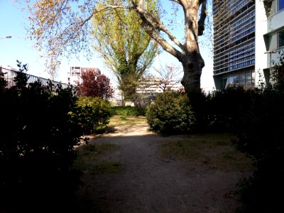 Lyon 7e - Rue Clément Marot, jardin public ombragé