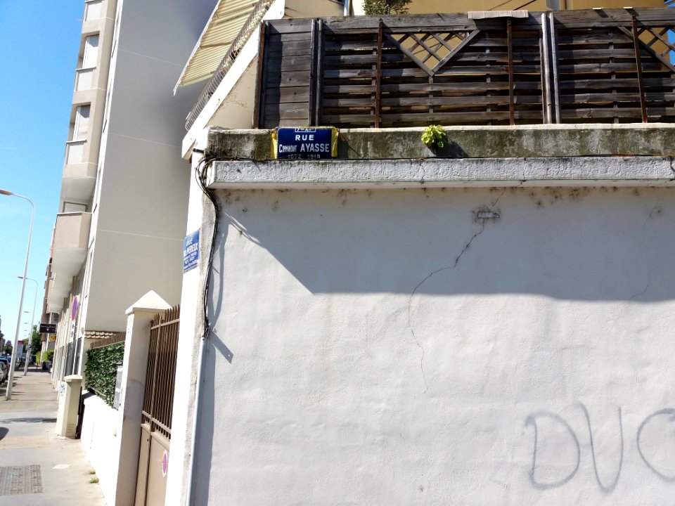 Lyon 7e - Rue Commandant Ayasse, plaque