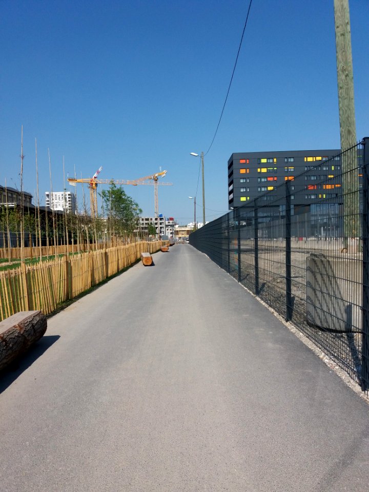 Lyon 2e - Rue Vuillerme, prolongement à travers le terrain de l'ancienne halle Girard