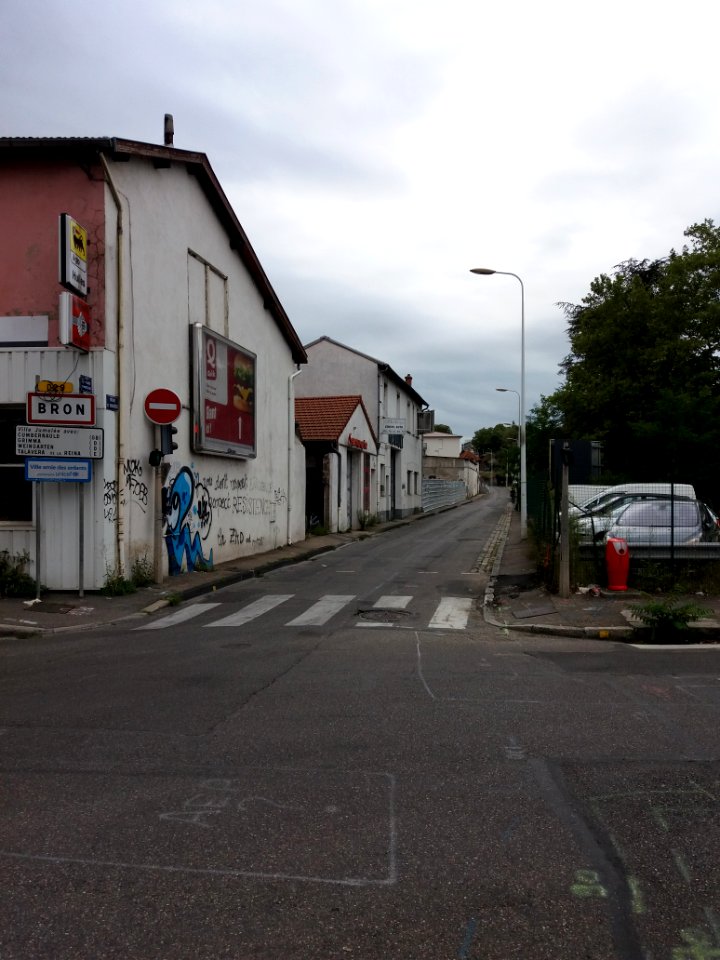 Lyon 3e - Rue du Vinatier, depuis la route de Genas