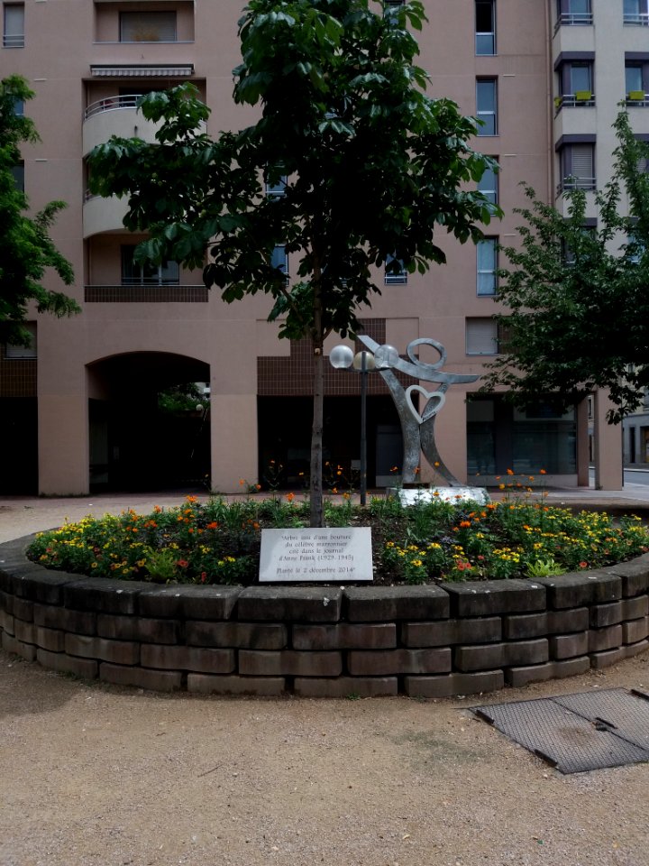Lyon 3e - Place Eugène Varlin, arbre issu d'une bouture du marronier cité dans le journal d'Anne Frank