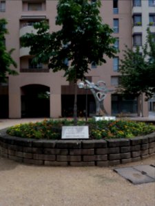 Lyon 3e - Place Eugène Varlin, arbre issu d'une bouture du marronier cité dans le journal d'Anne Frank