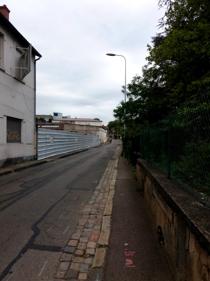 Lyon 3e - Rue du Vinatier, vers le sud