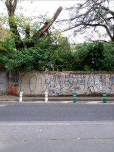 Lyon 3e - Rue du Professeur Paul Sisley - Villa Monoyer, mur