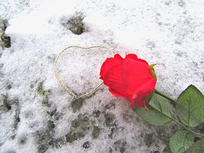 Romance love decoration