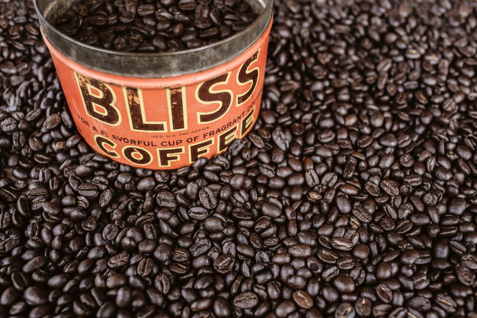 Can bliss container