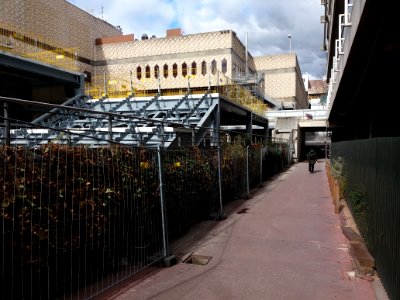 Lyon 3e - Rue du Docteur Bouchut, nouvel escalier et chemin le long de la bibliothèque