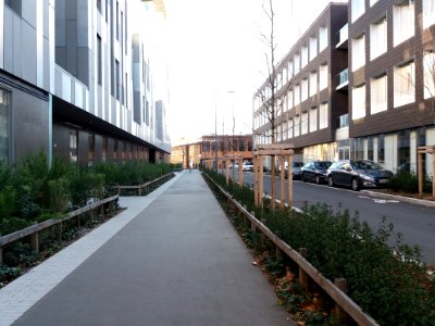 Lyon 7e - Allée Flora Tristan, en direction de l'avenue Jean Jaurès
