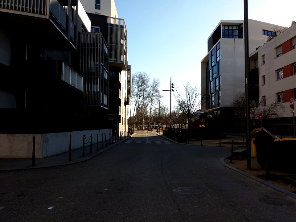 Lyon 7e - Allée Léopold Sédar Senghor, section sud entre les rues Maurice Bouchor et André Bollier
