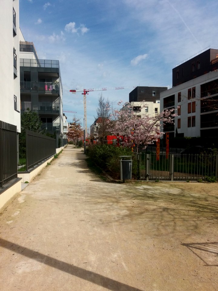 Lyon 7e - Allée Léopold Sédar Senghor, côté nord