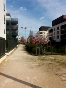 Lyon 7e - Allée Léopold Sédar Senghor, côté nord