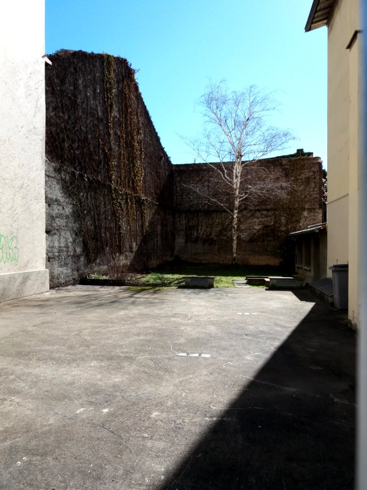 Lyon 7e - Avenue Berthelot, cour au numéro 130