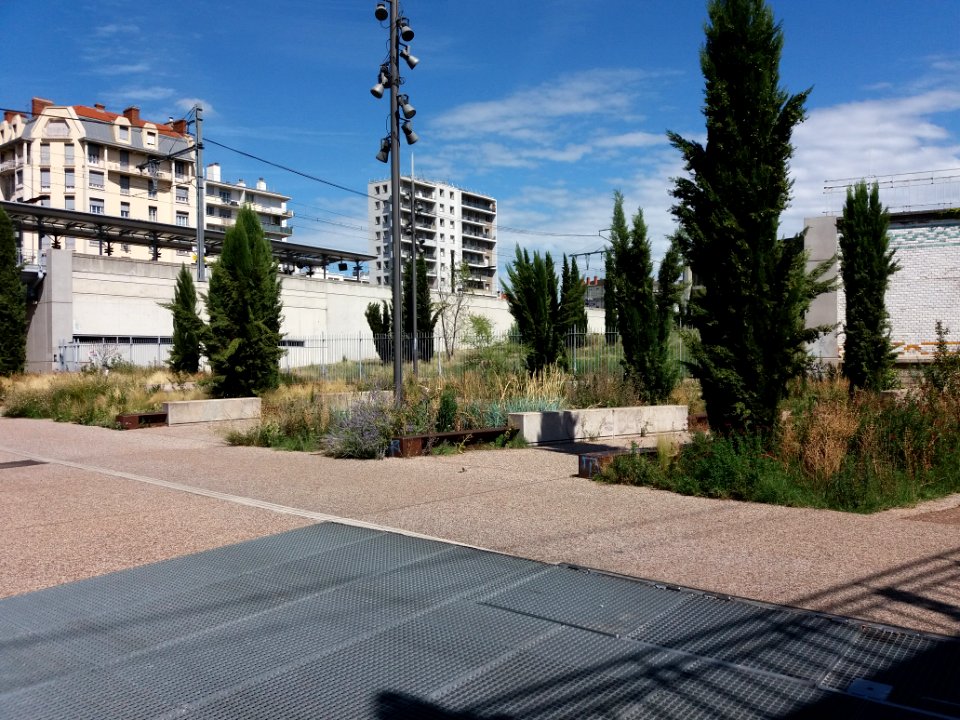 Lyon 7e - Avenue Jean Jaurès, vers le nord, jardin en arrivant gare de Lyon-Jean-Macé