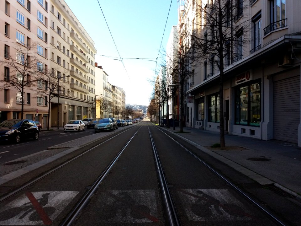 Lyon 7e - Avenue Berthelot, voie du traway T2, côté ouest