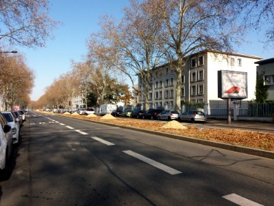 Lyon 7e - Avenue Leclerc, côté nord, petits tas sur le terre-plein central