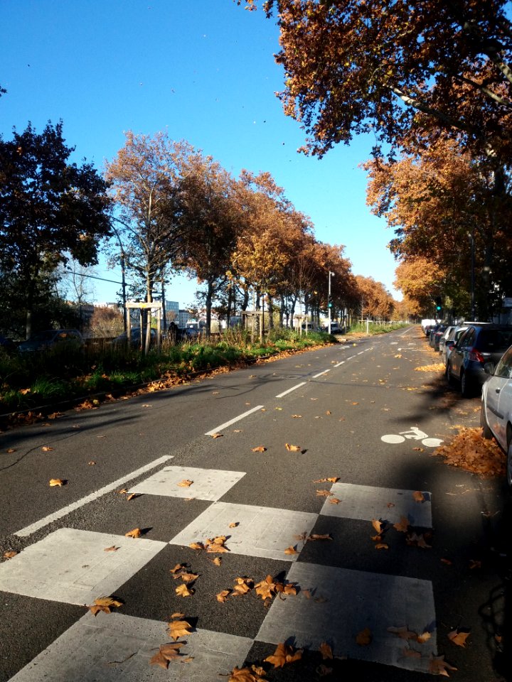 Lyon 7e - Avenue Leclerc - Vers le nord, après la rue des Girondins