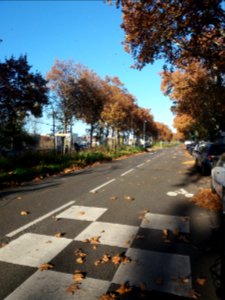 Lyon 7e - Avenue Leclerc - Vers le nord, après la rue des Girondins