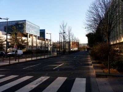 Lyon 7e - Avenue Tony Garnier, côté sud au niveau de la rue Alexander Fleming