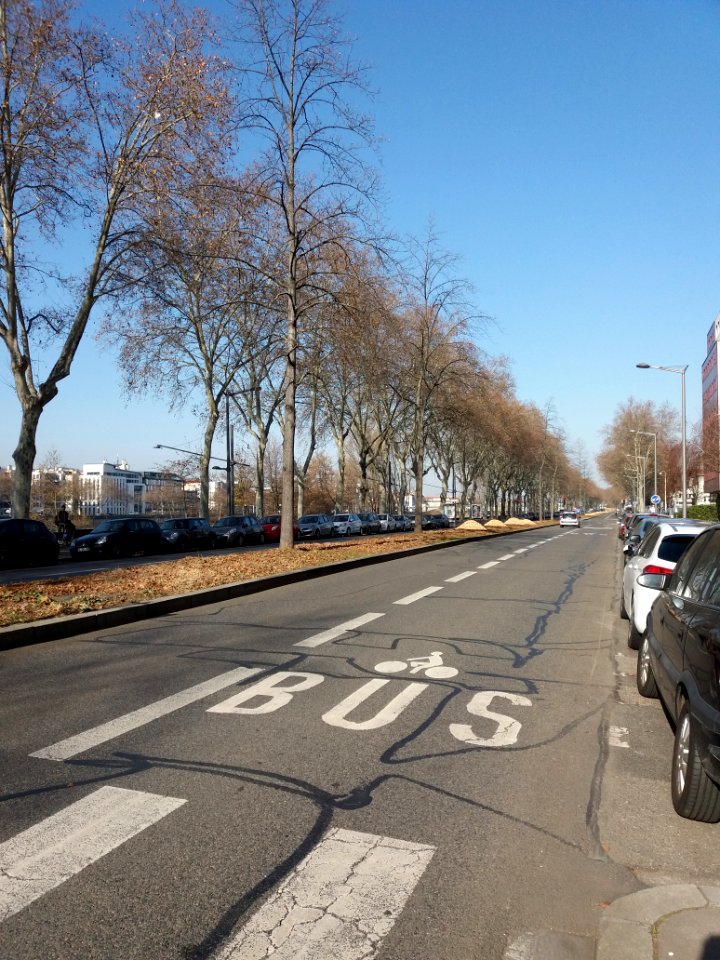 Lyon 7e - Avenue Leclerc, côté nord, en arrivant sur la rue des Girondins